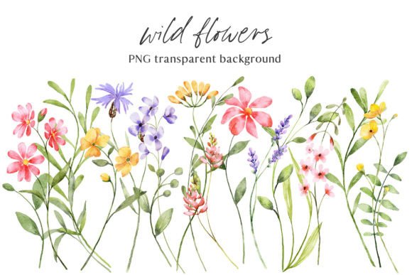 Download Wild Flowers, Watercolor Clipart, PNG - Wild flowers Collection
